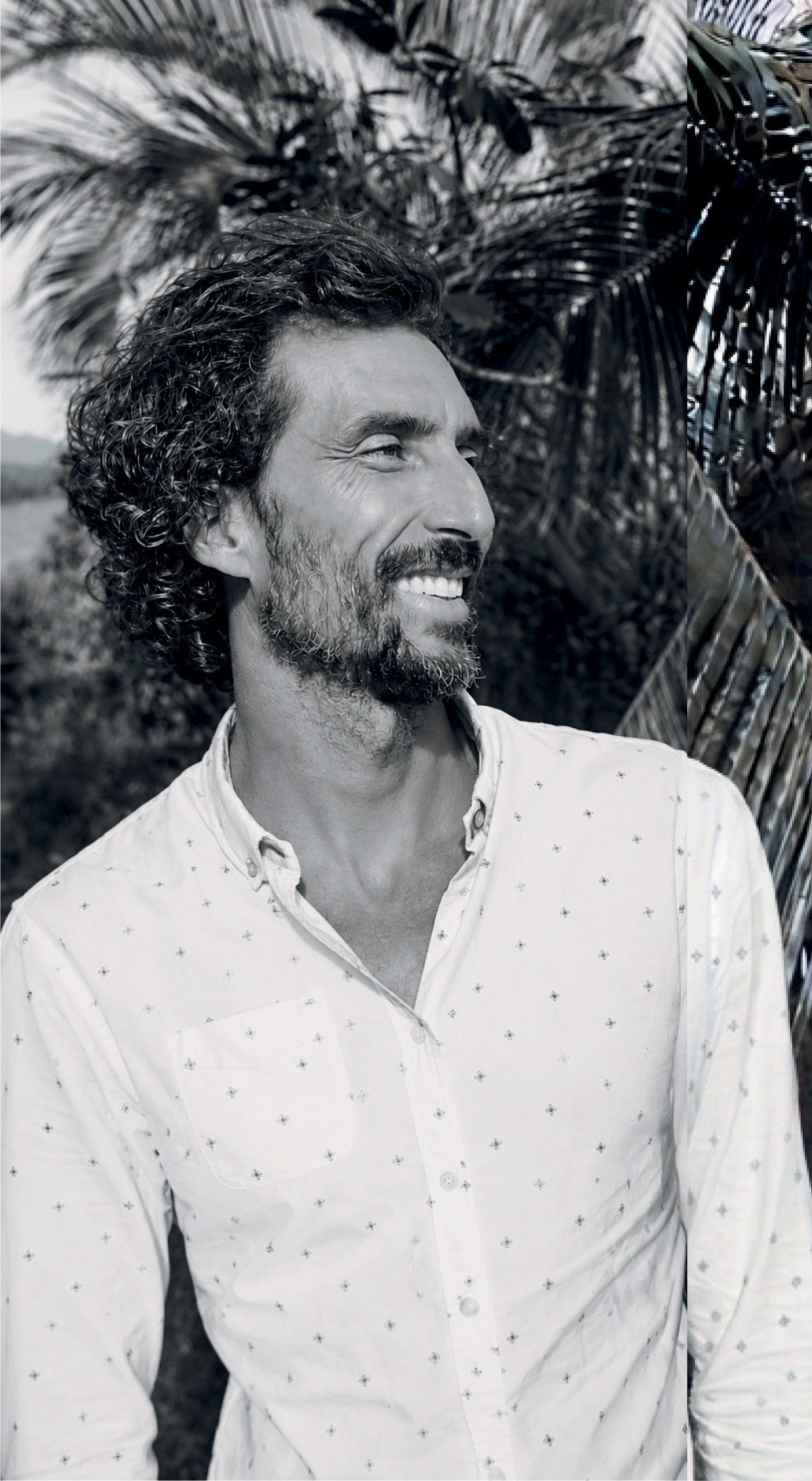 MATTEO